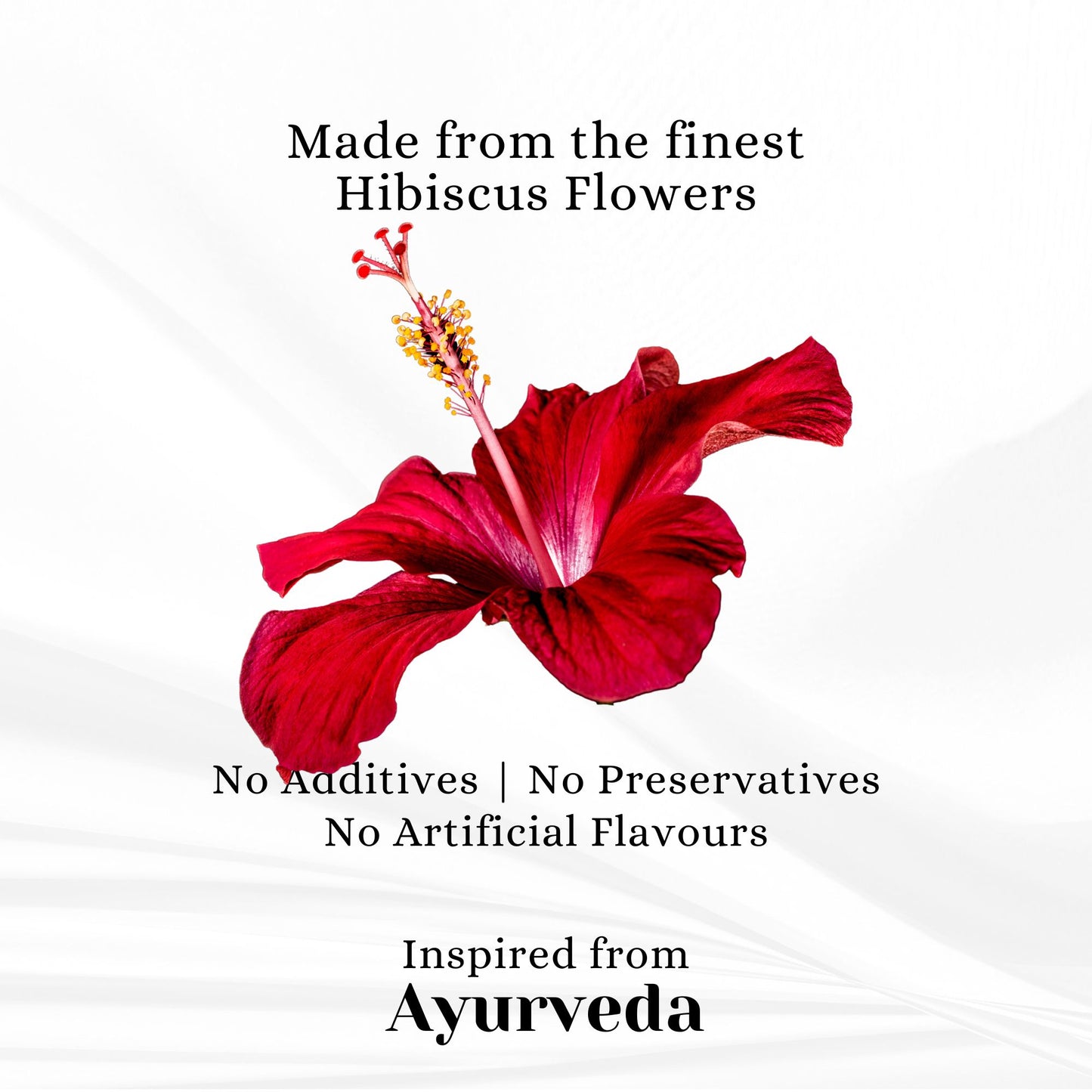 Pure Hibiscus Flower Tisane | Rejuvenate  (25 Cloth Bags)