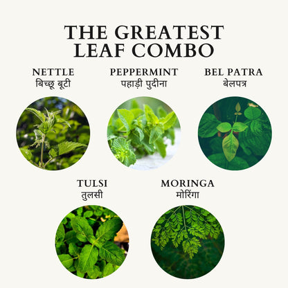 NETTLE + PEPPERMINT + TULSI + MORINGA + BEL PATRA | BLEND OF 5 LEAVES | 25 Cloth Bags