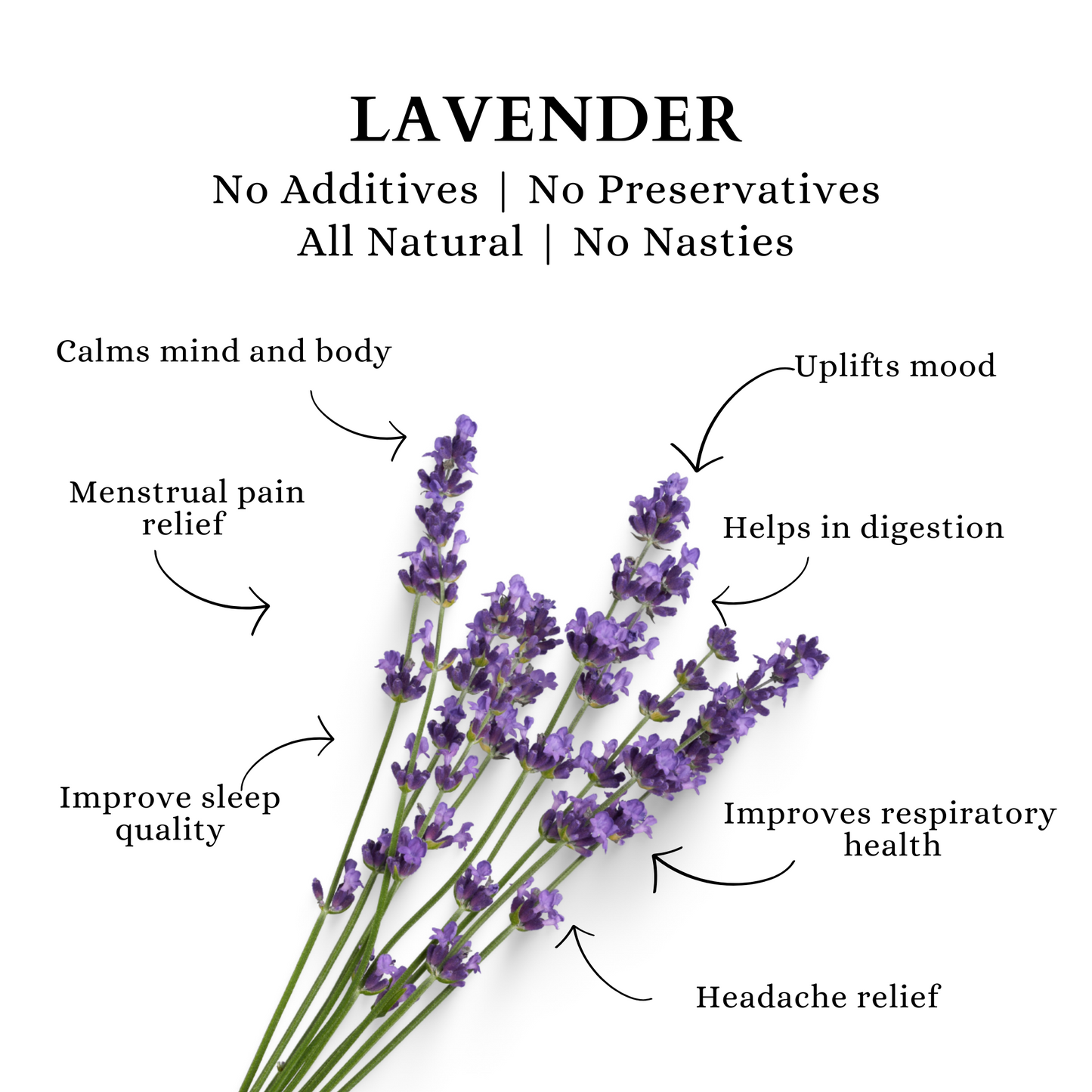 Pure Lavender Flower Tisane | Calm (25 Paper Bags)